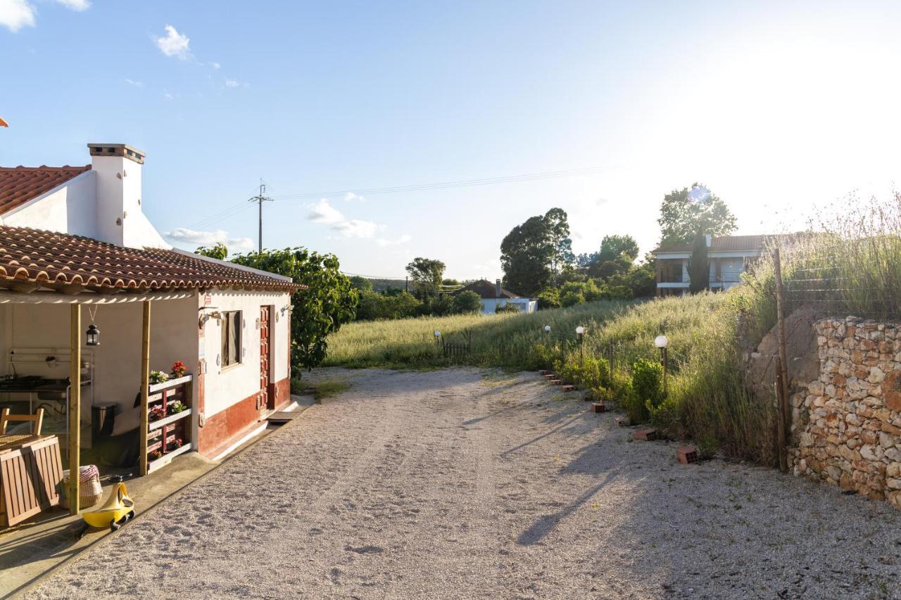 Avo Rosa Guesthouse Sao Joao da Ribeira Ngoại thất bức ảnh