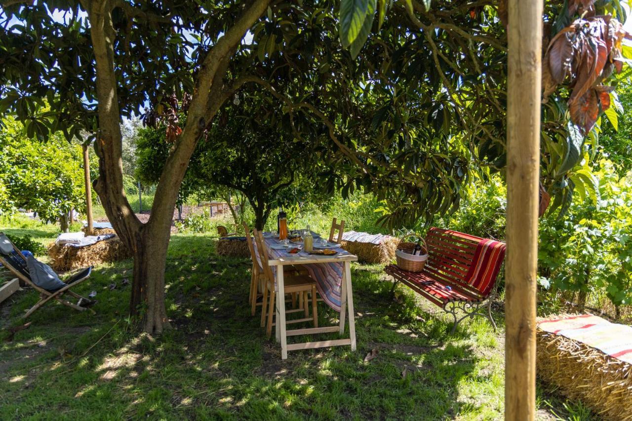 Avo Rosa Guesthouse Sao Joao da Ribeira Ngoại thất bức ảnh
